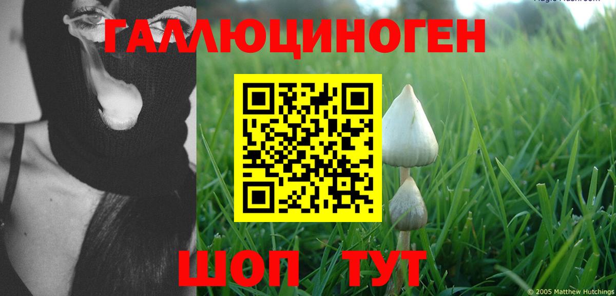 Галлюциногенные грибы Psilocybine cubensis  что такое   Гудермес  Вход с VPN 